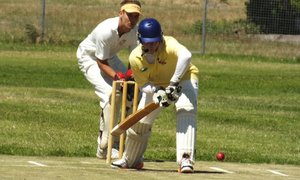 Krieketnuus (26 Nov 2015)